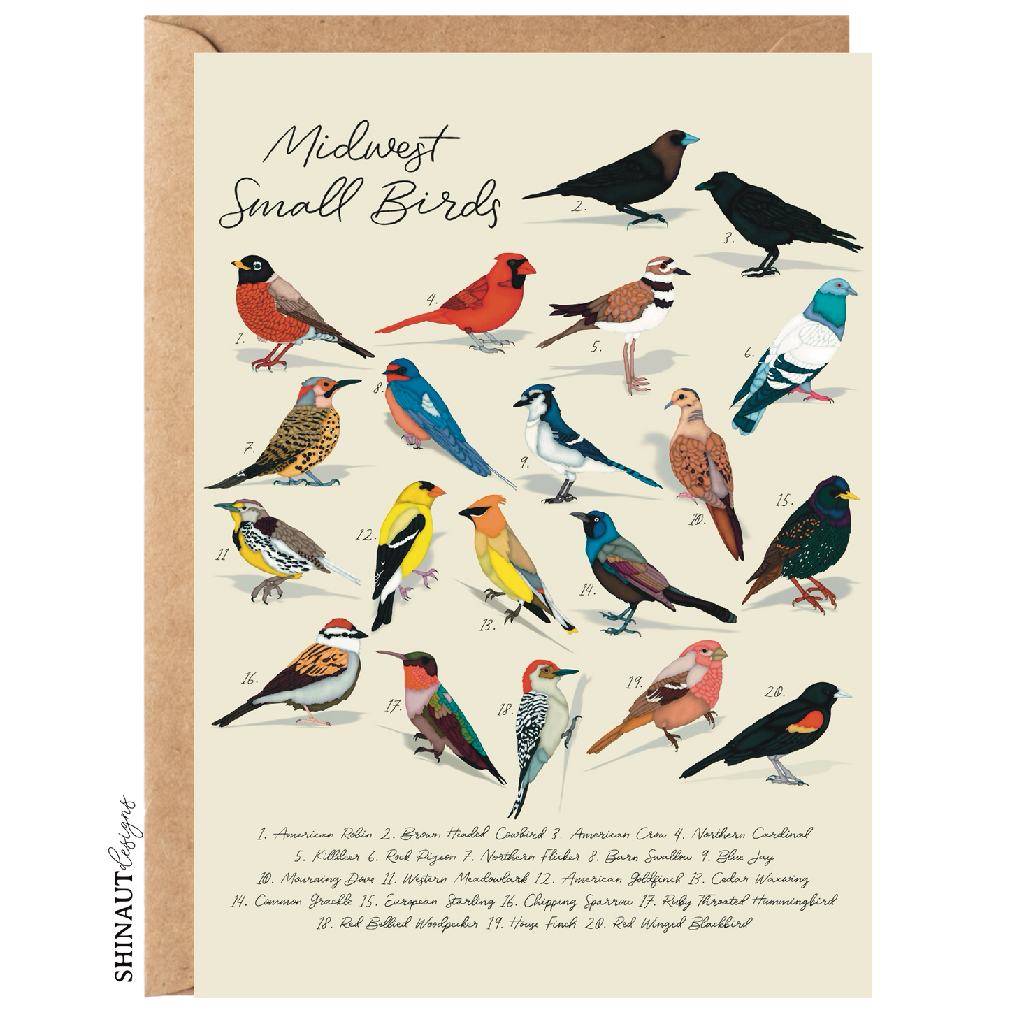Midwest Small Birds - Bird Collection Greeting Card