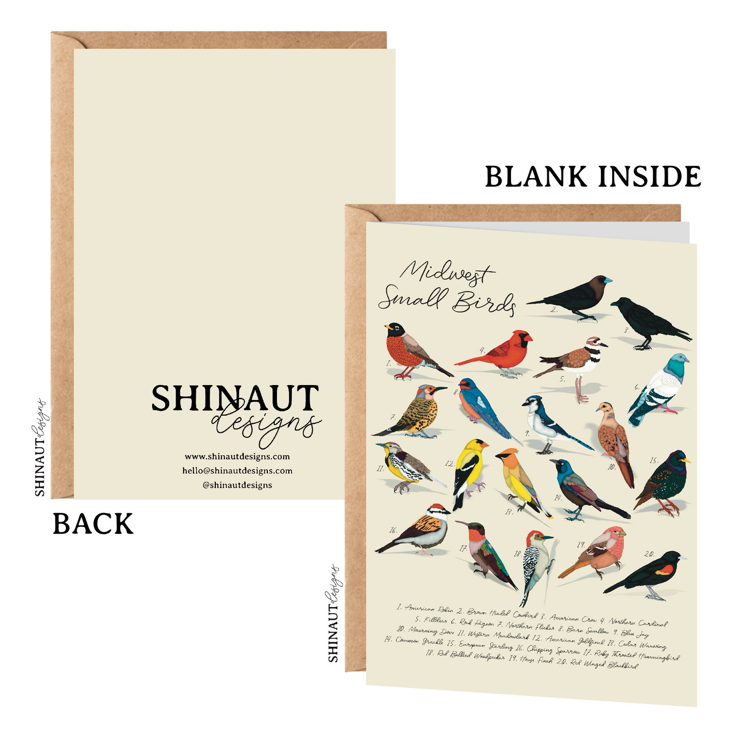 Midwest Small Birds - Bird Collection Greeting Card