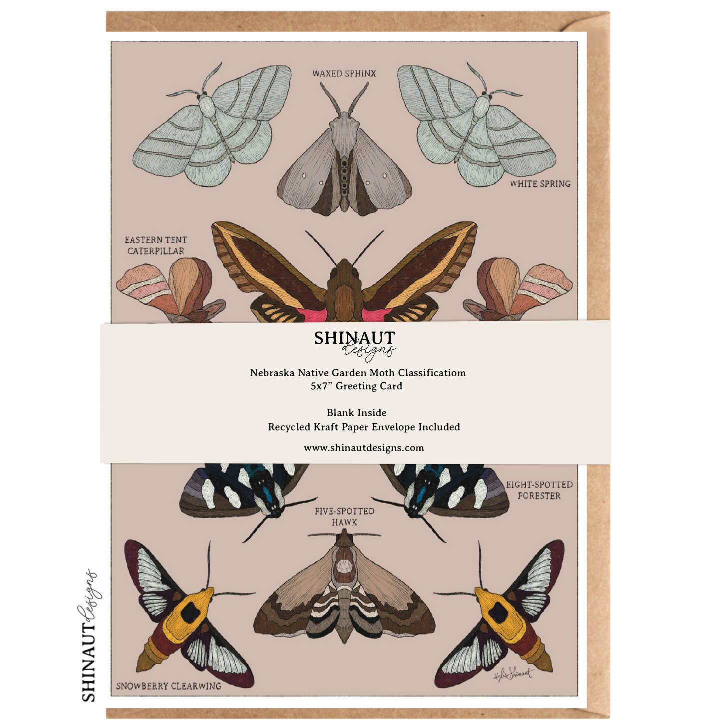 nebraska native moth greeting card packaging