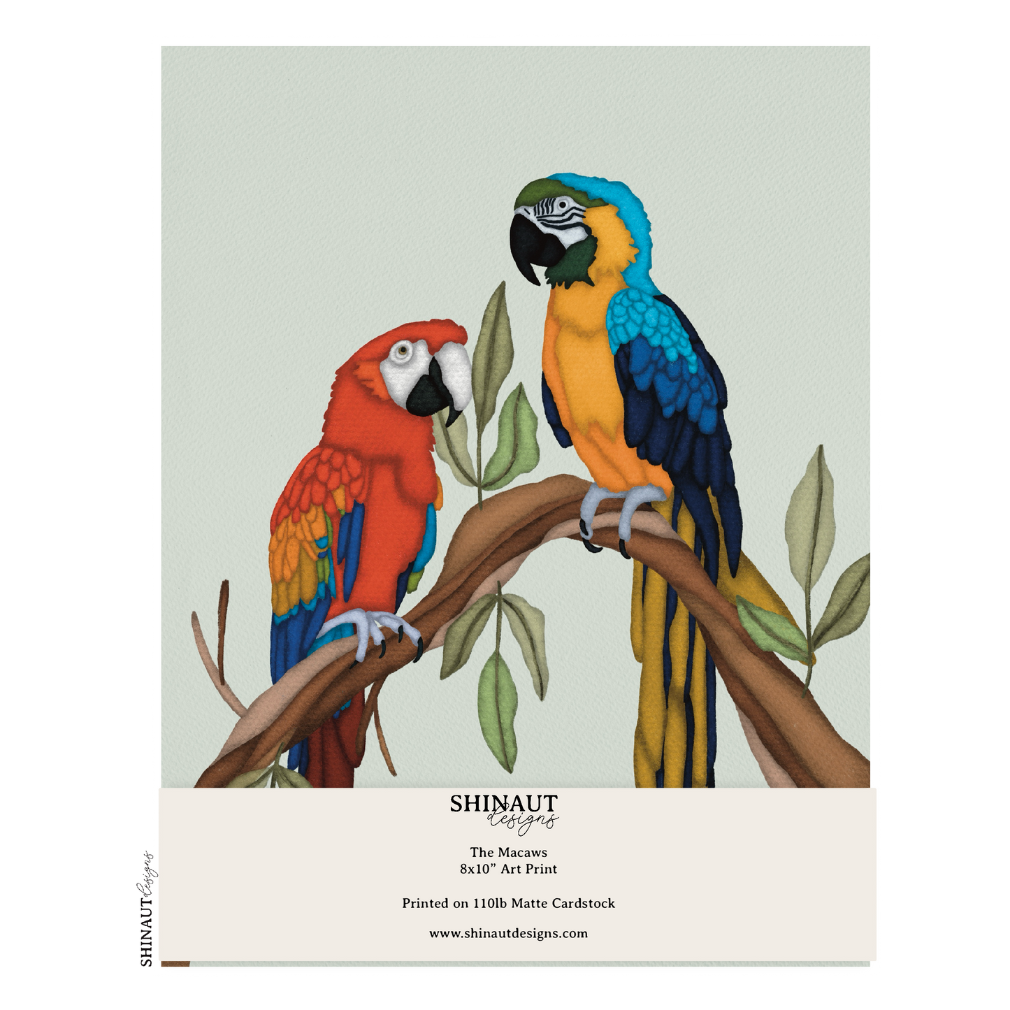 the macaws art print packaging