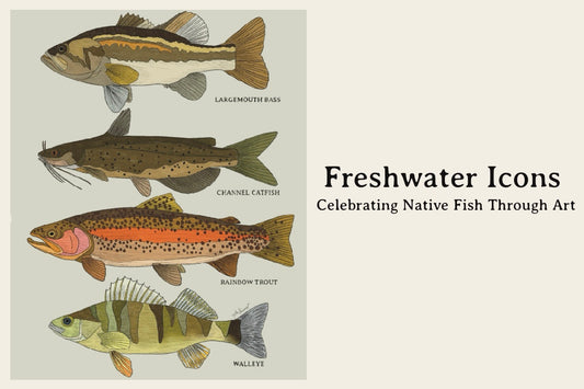 Freshwater Icons: Celebrating Native Fish Through Art