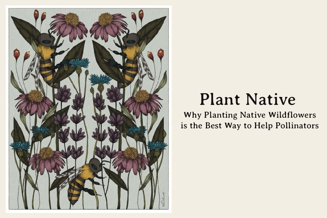 Plant Native: Why Planting Native Wildflowers is the Best Way to Help Pollinators