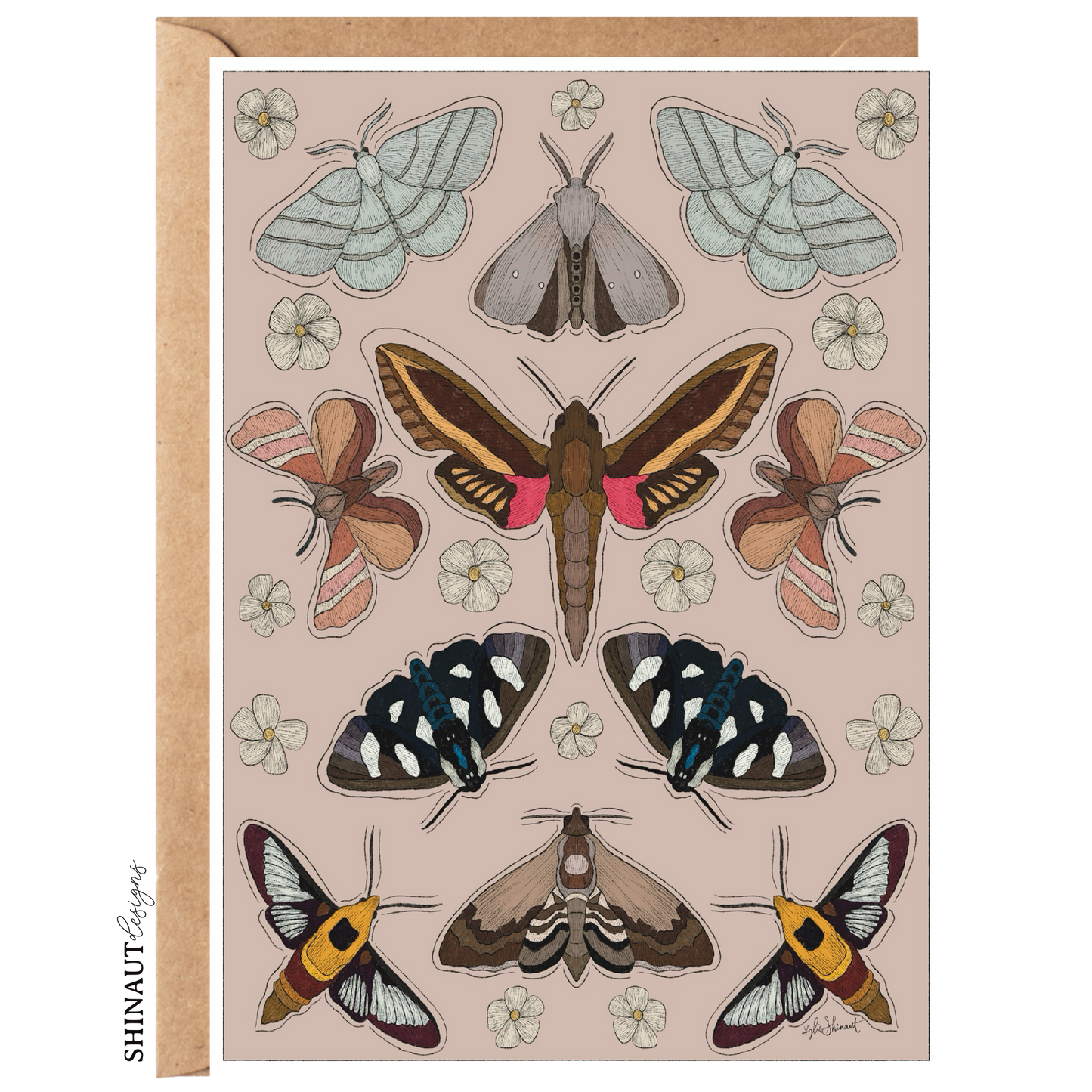 Garden Moth Greeting Card