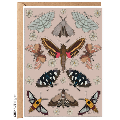 Garden Moth Greeting Card