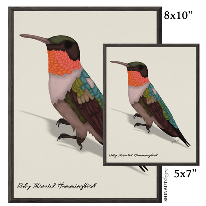 Ruby Throated Hummingbird Art Print