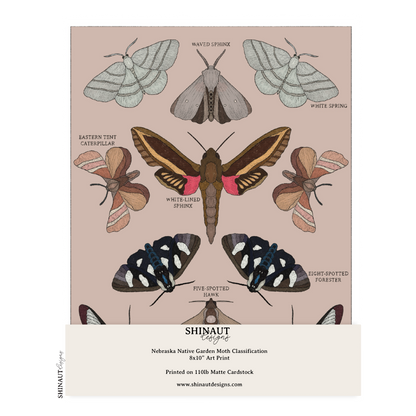 Nebraska Native Garden Moths Classification Art Print