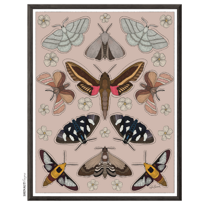 Garden Moths Art Print