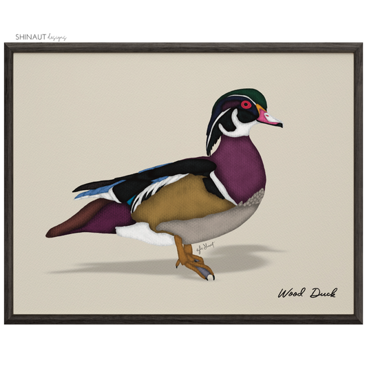 Wood Duck Art Print