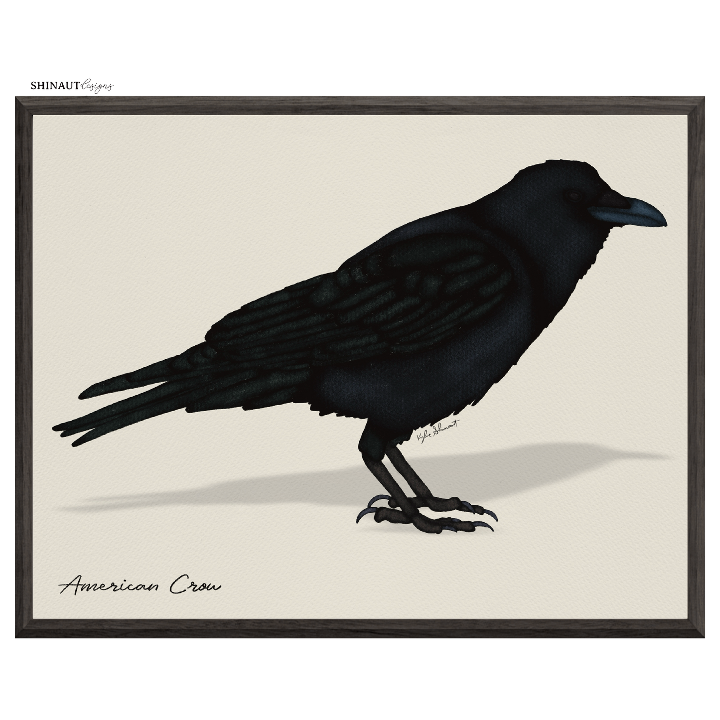 american crow art print in black picture frames