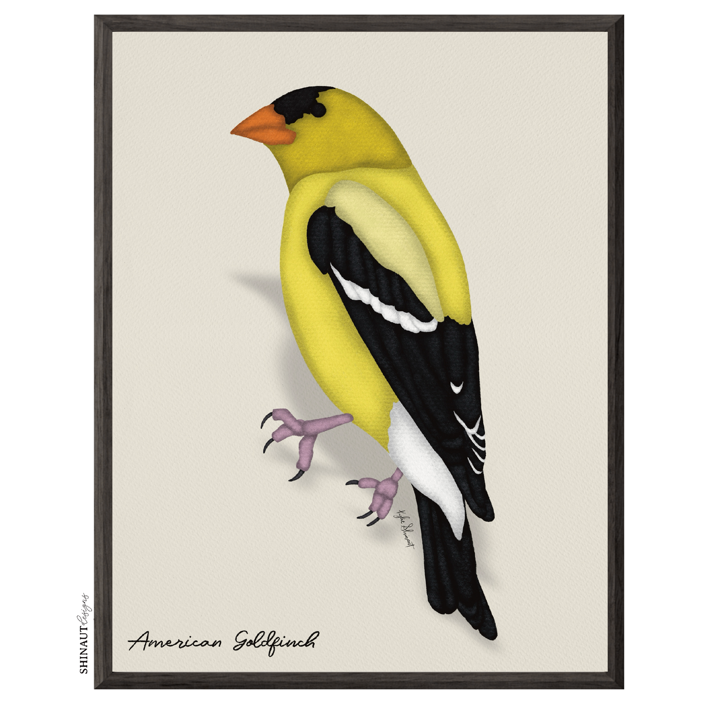 american goldfinch art print in black picture frames