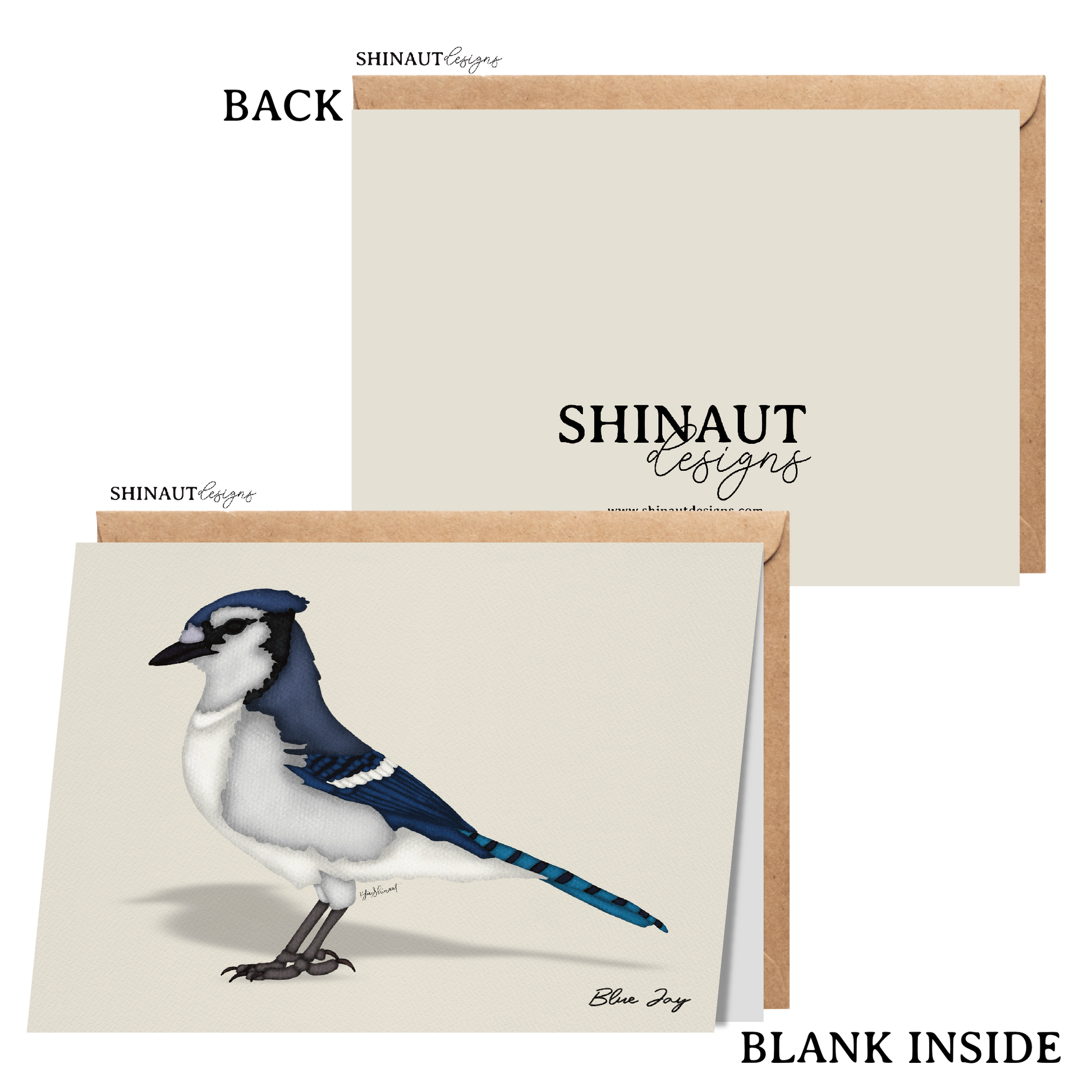 blue jay greeting card with kraft envelope showing front, inside and back of card