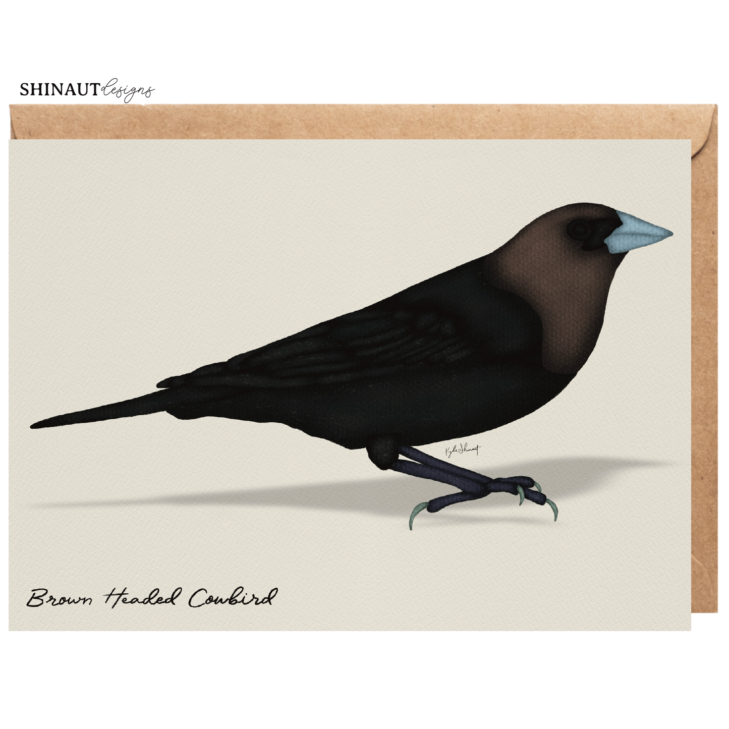 brown headed cowbird greeting card with kraft envelope