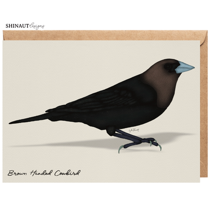 brown headed cowbird greeting card with kraft envelope