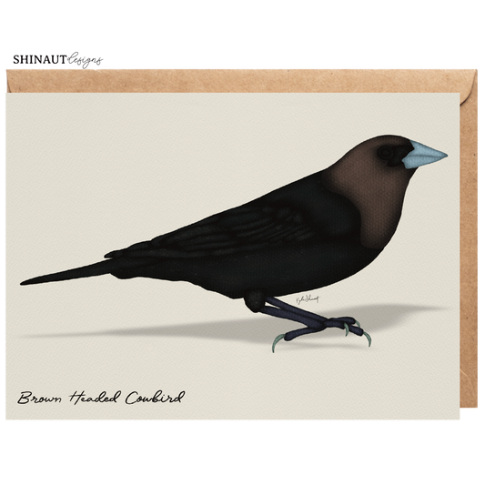 brown headed cowbird greeting card with kraft envelope