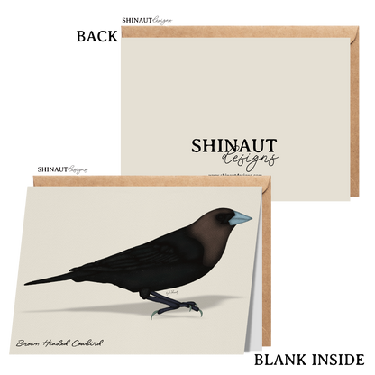 brown headed cowbird greeting card with kraft envelope showing front, inside and back of card