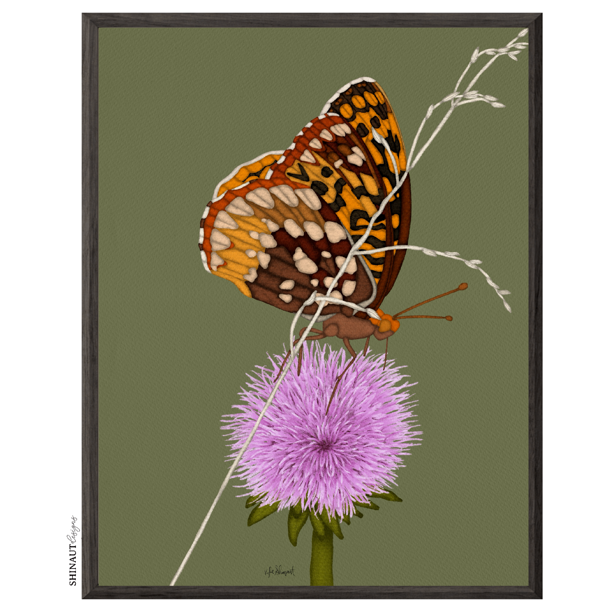 butterfly thistle art print in black picture frames