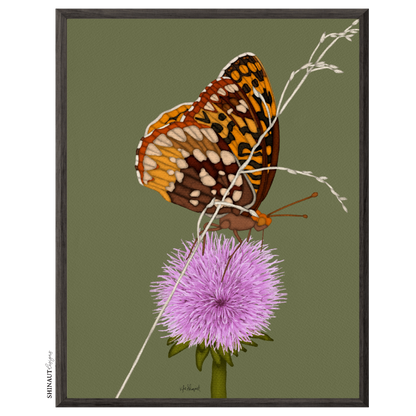 butterfly thistle art print in black picture frames