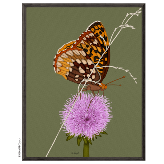 butterfly thistle art print in black picture frames