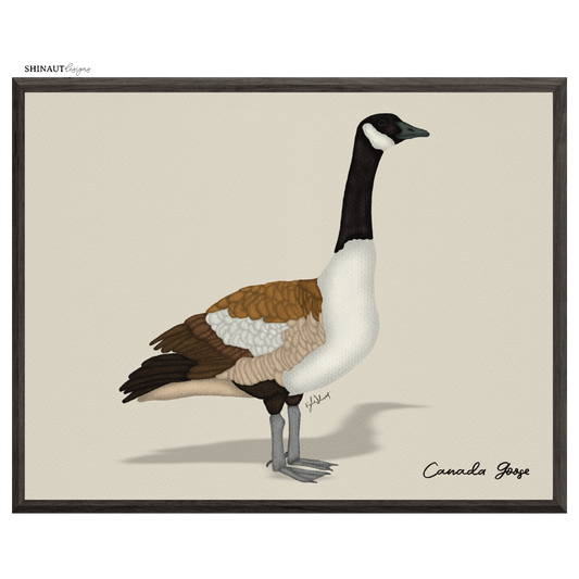 canada goose art print in black picture frames