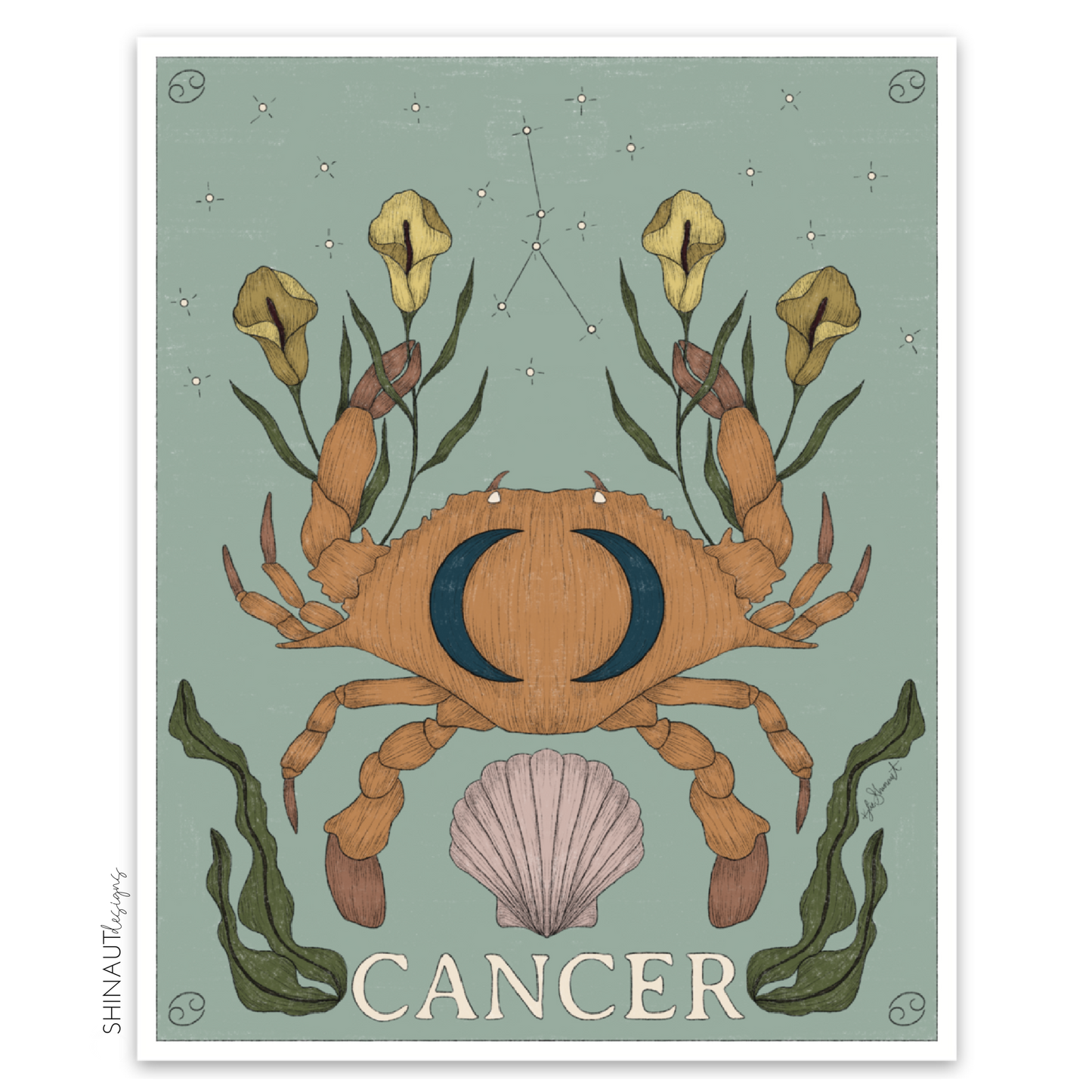 photo of cancer zodiac sticker