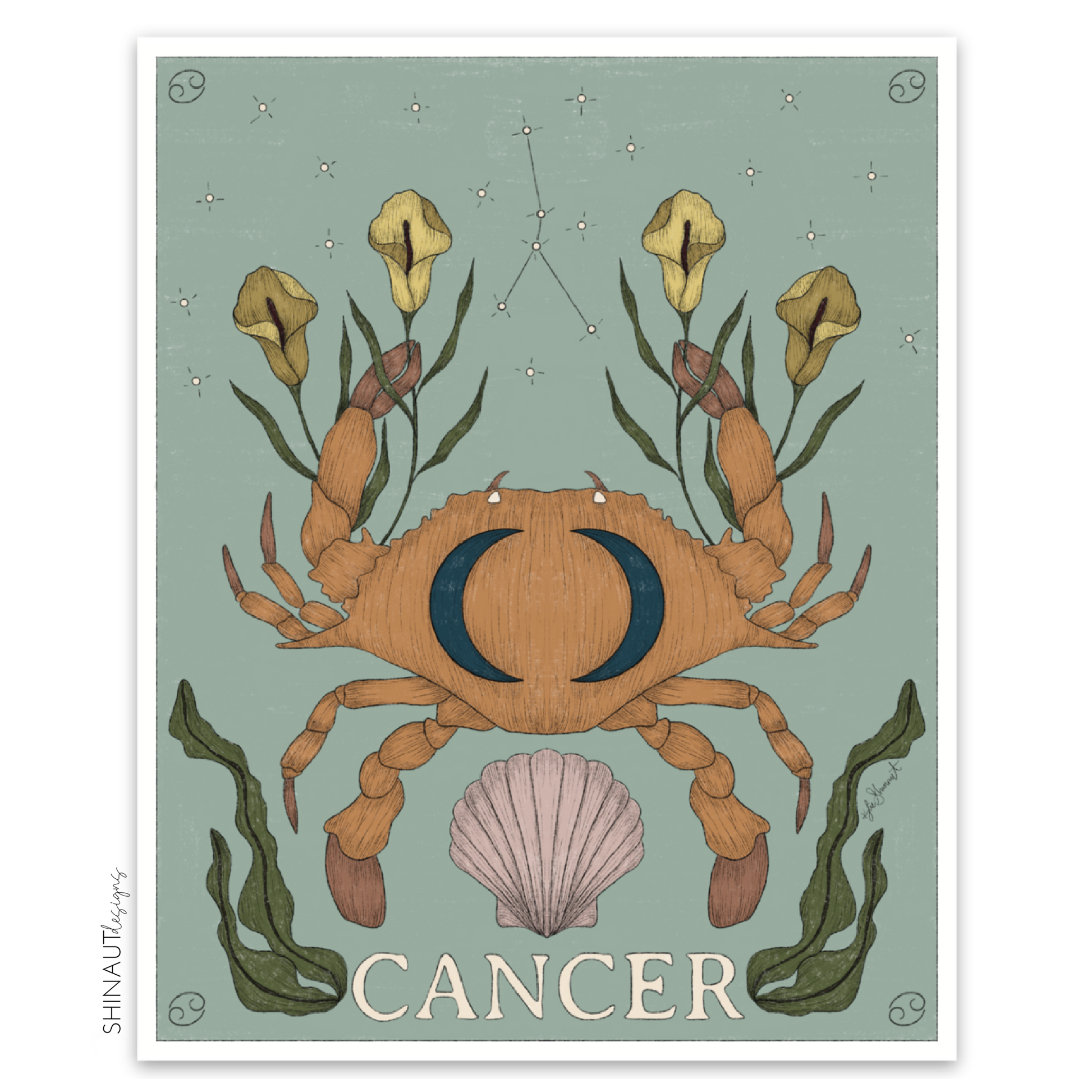 photo of cancer zodiac sticker