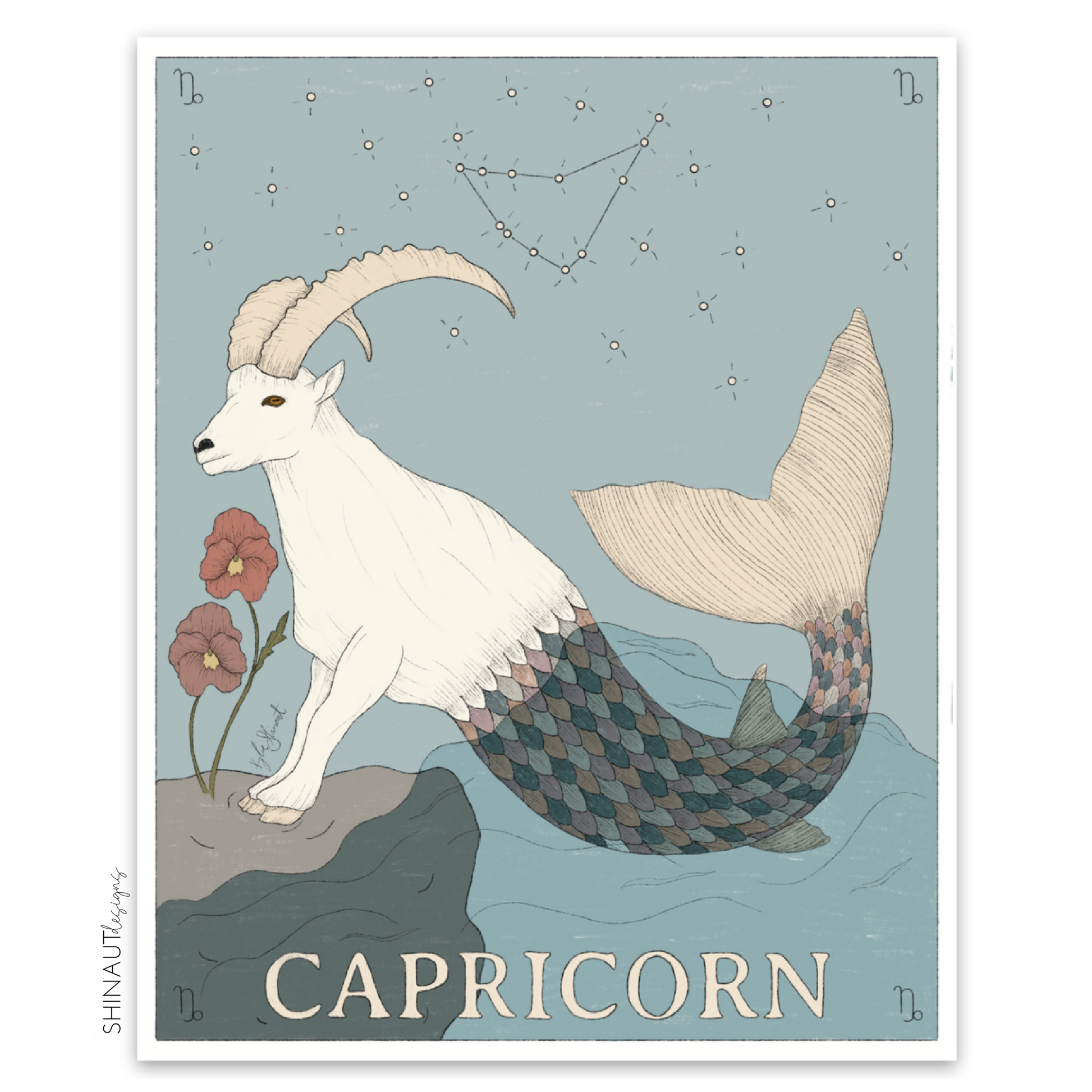 photo of capricorn zodiac sticker