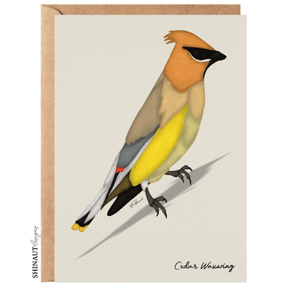 cedar waxwing greeting card with kraft envelope