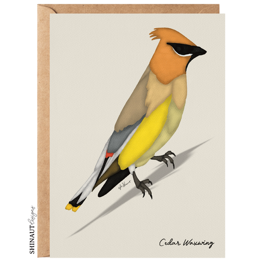 cedar waxwing greeting card with kraft envelope