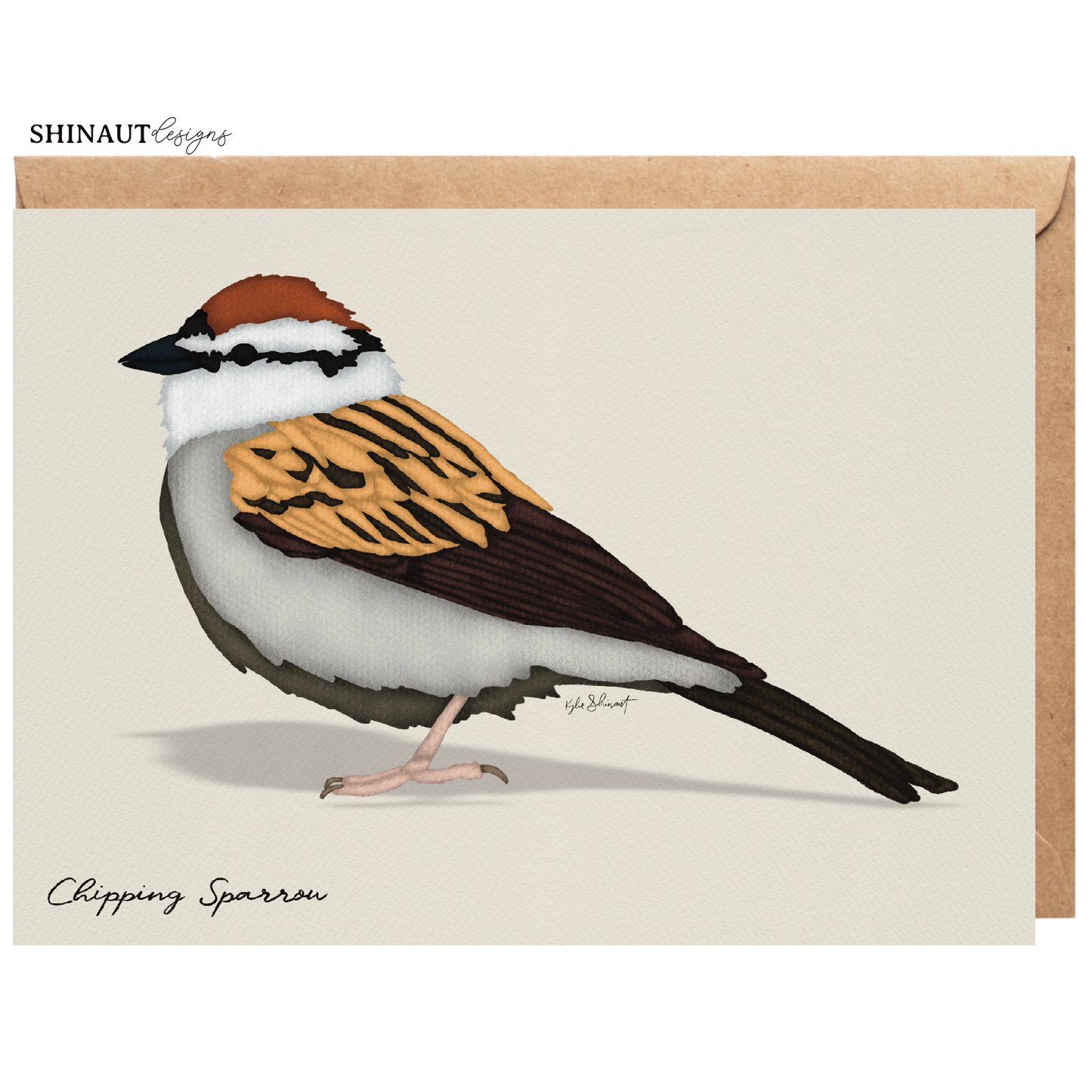 chipping sparrow greeting card with kraft envelope