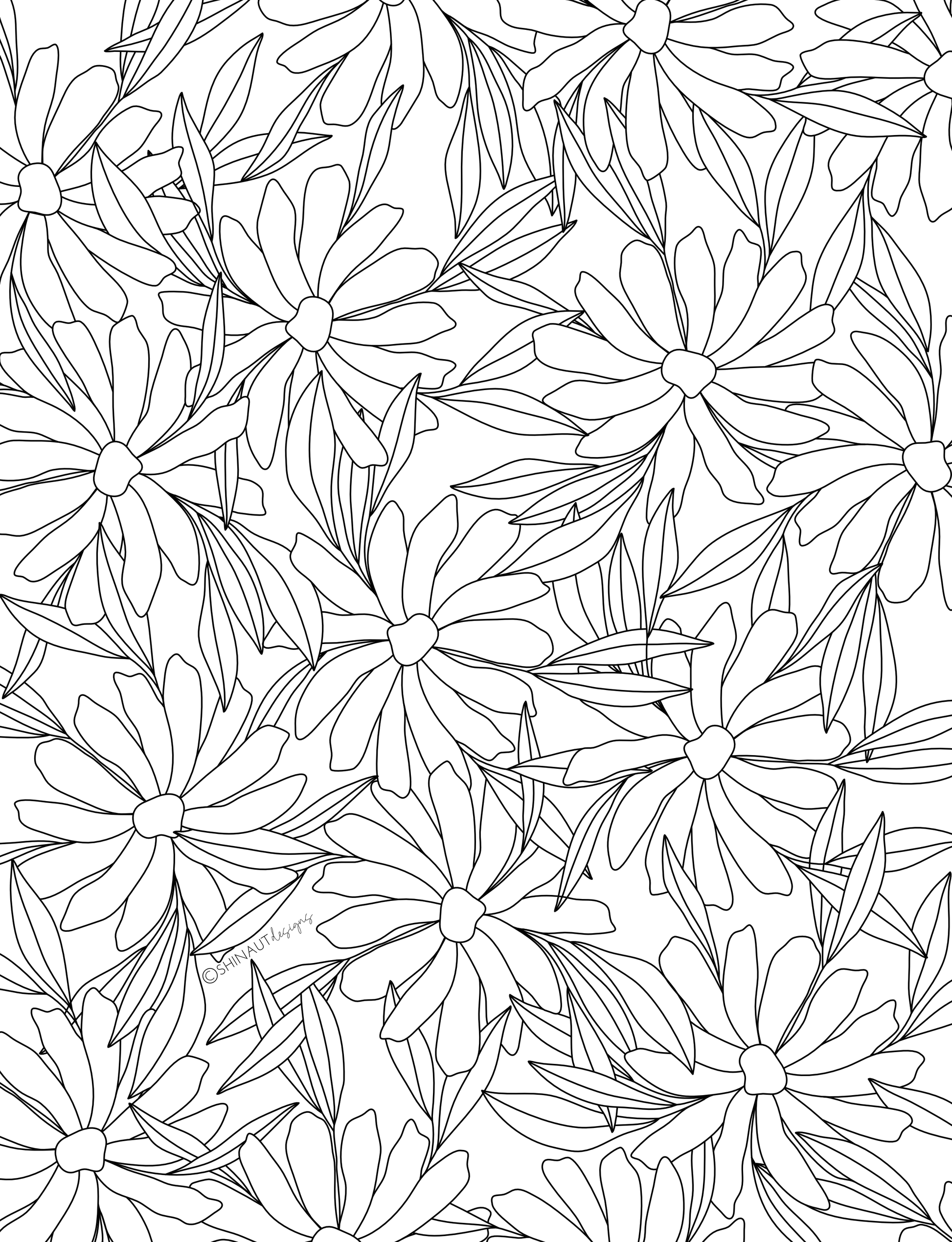 daisy flower pattern coloring page digital download