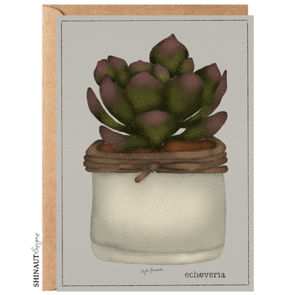 echeveria succulent greeting card with kraft envelope