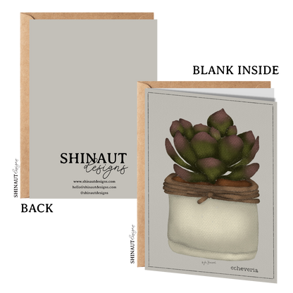 echeveria succulent greeting card with kraft envelope showing front, inside and back of card