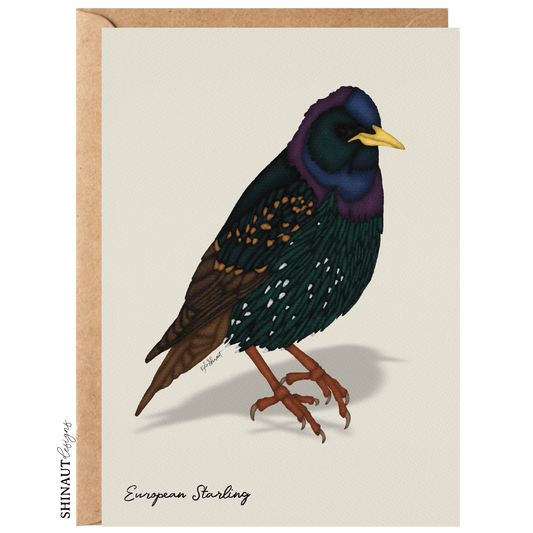 european starling greeting card with kraft envelope