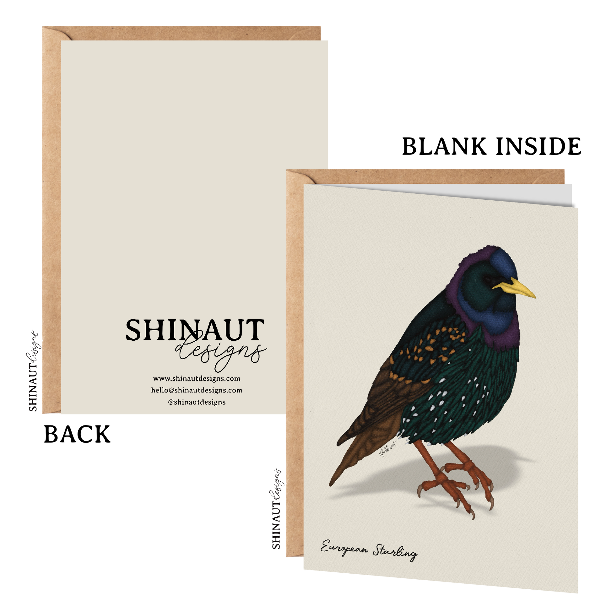 european starling greeting card with kraft envelope showing front, inside and back of card