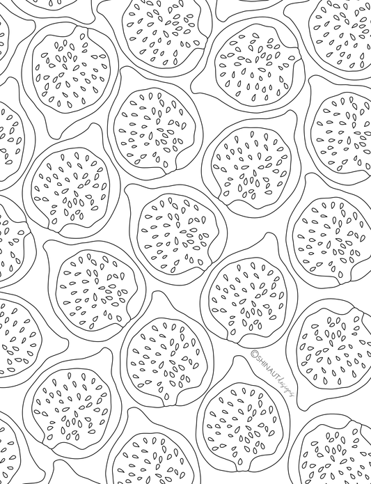 fig fruit pattern coloring page digital download