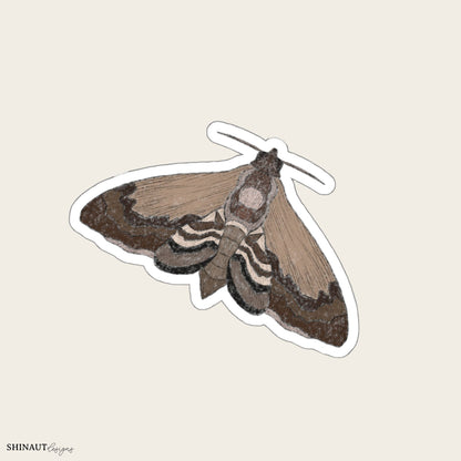 five spotted hawk garden moths die-cut sticker