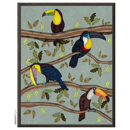 four toucans on branches art print in black picture frames