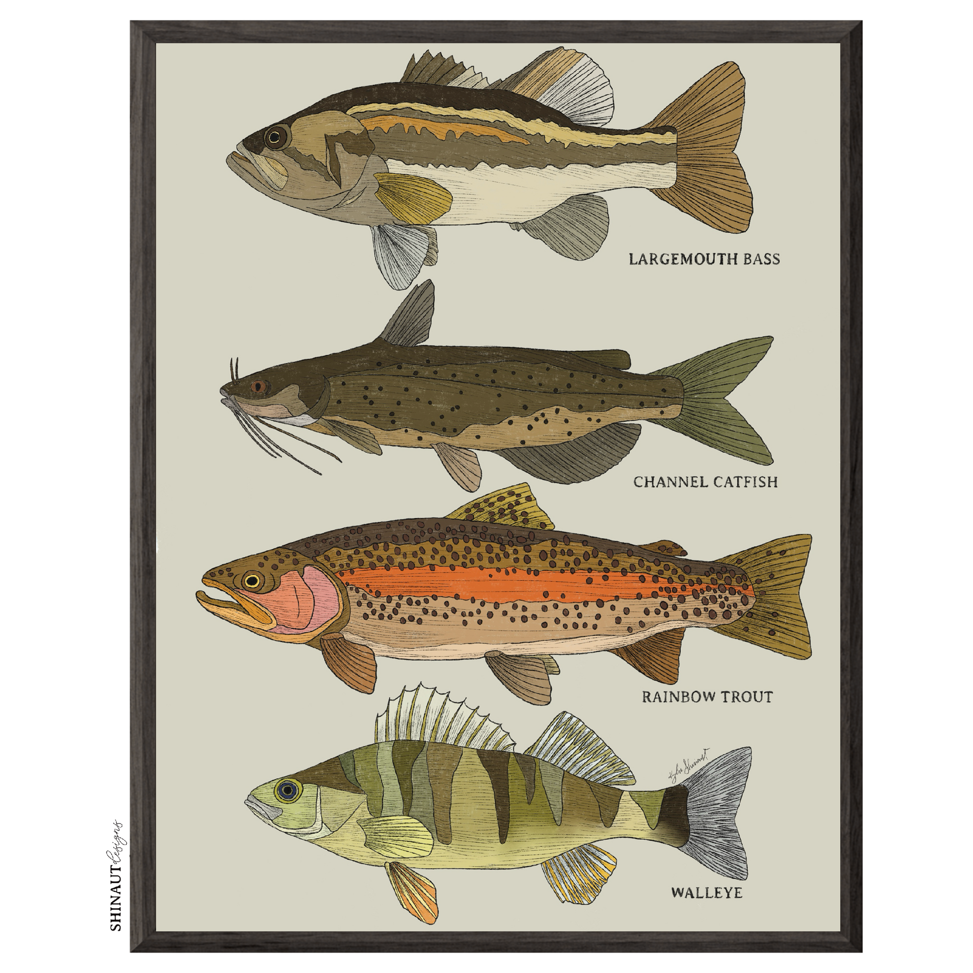 freshwater fish art print in a black picture frame