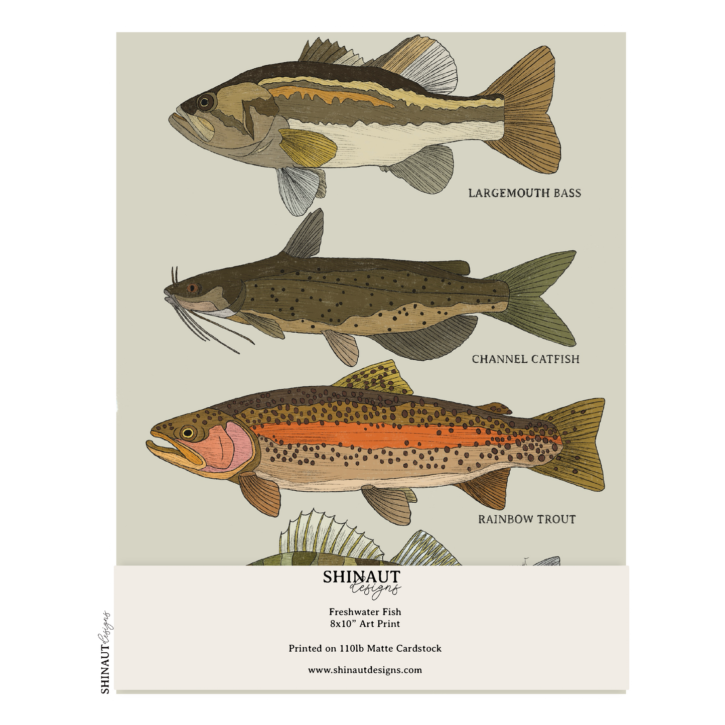 freshwater fish art print packaging