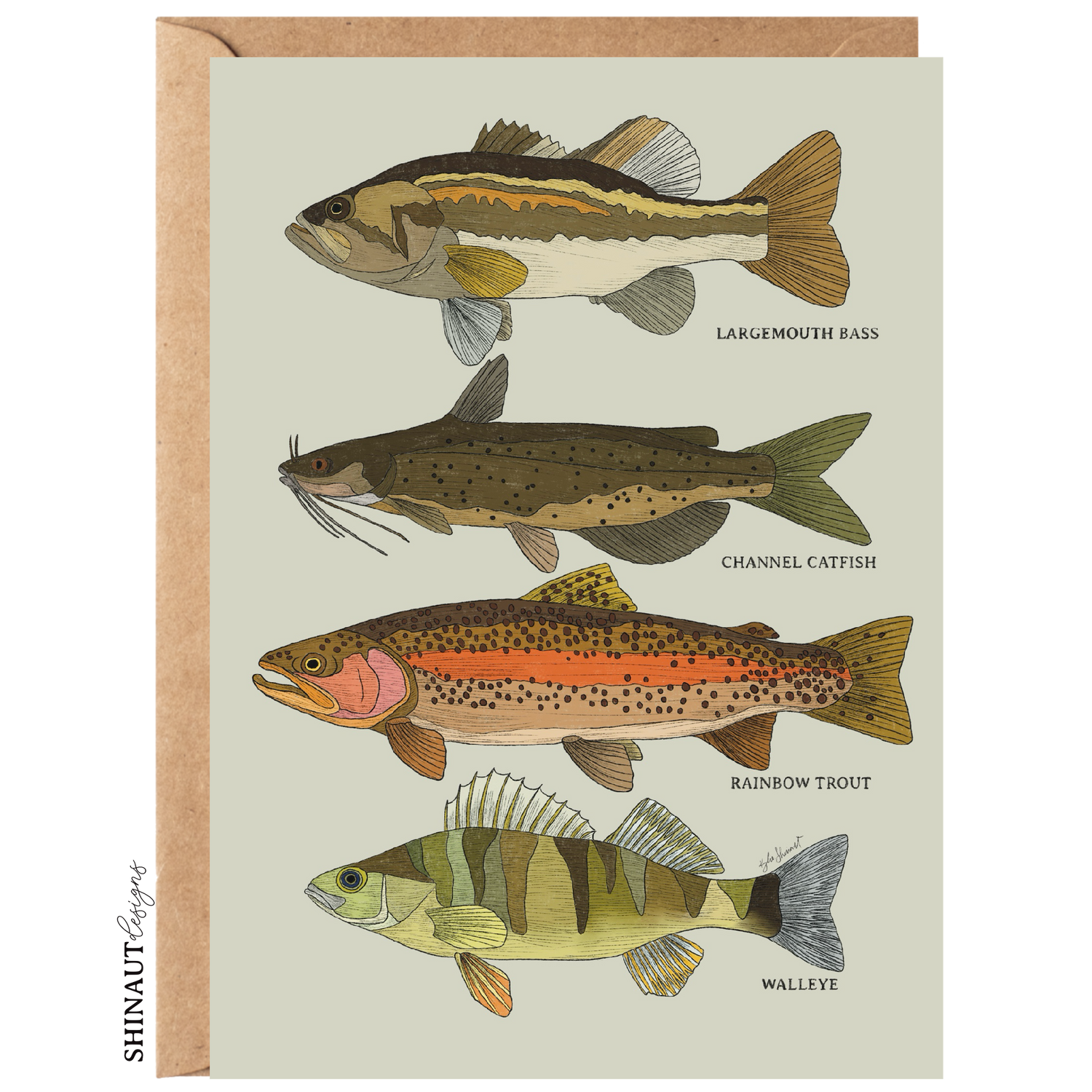 freshwater fish greeting card with kraft envelope