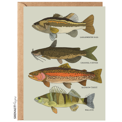 freshwater fish greeting card with kraft envelope