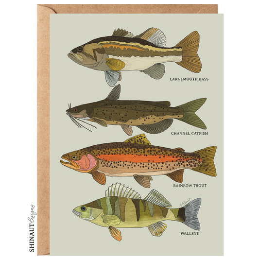 freshwater fish greeting card with kraft envelope