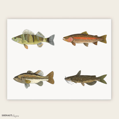 freshwater fish sticker sheet