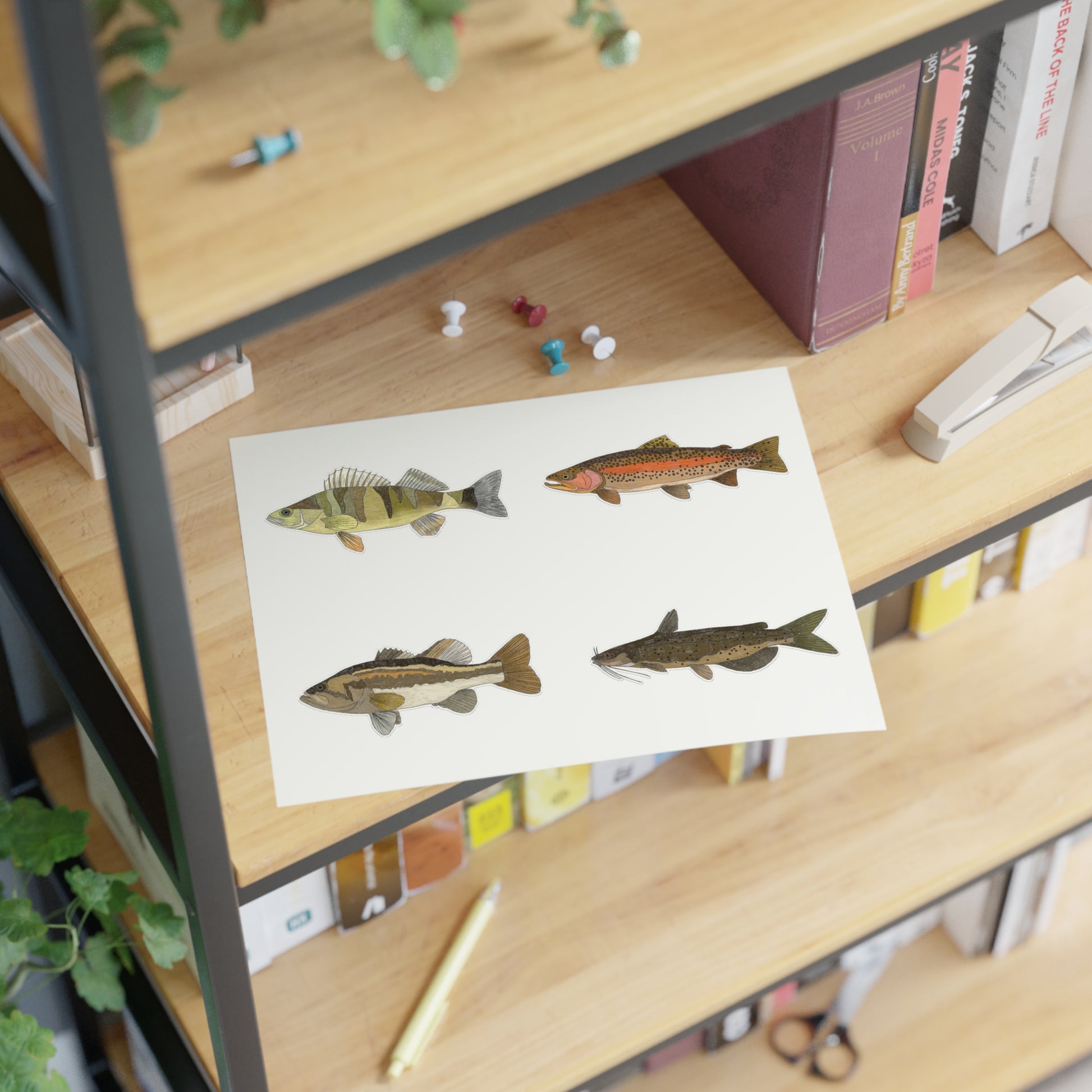 freshwater fish sticker sheet on wood shelves