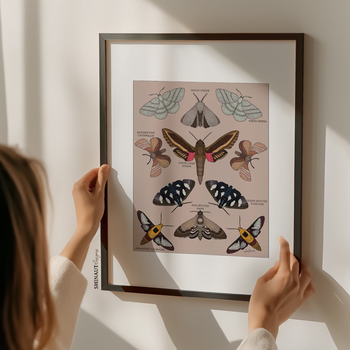 garden moths entomology classification art print with hands on frame