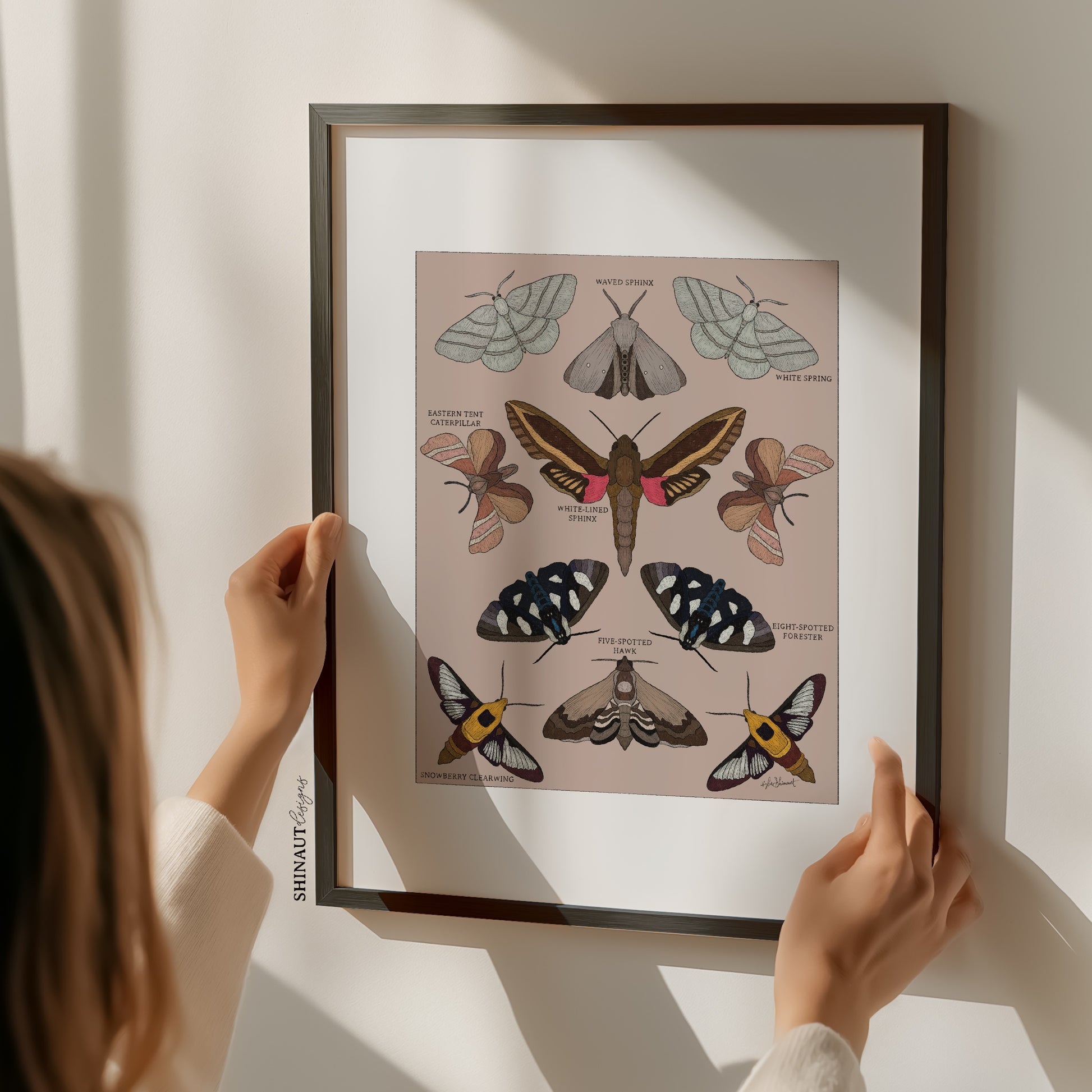 garden moths entomology classification art print with hands on frame