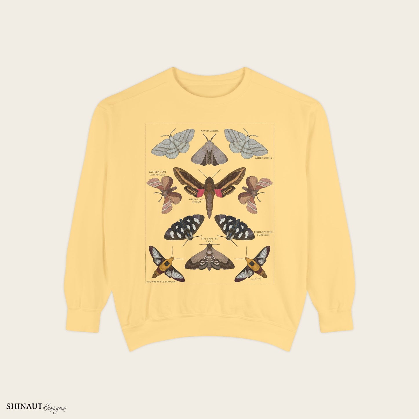 garden moths entomology classification crewneck in butter