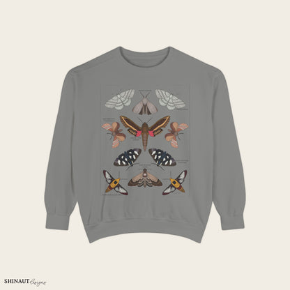 garden moths entomology classification crewneck in gray