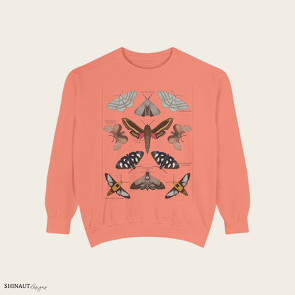 garden moths entomology classification crewneck in terracotta