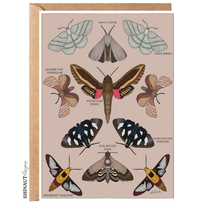 garden moths entomology classification greeting card